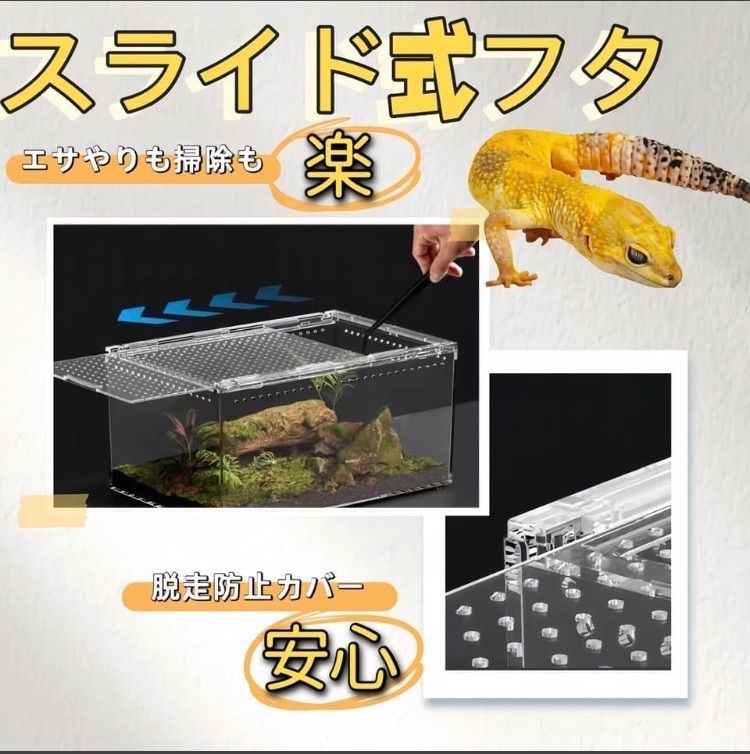 実店舗あり、卸販売 自社製 純アクリル 高品質レプタイルボックス 20