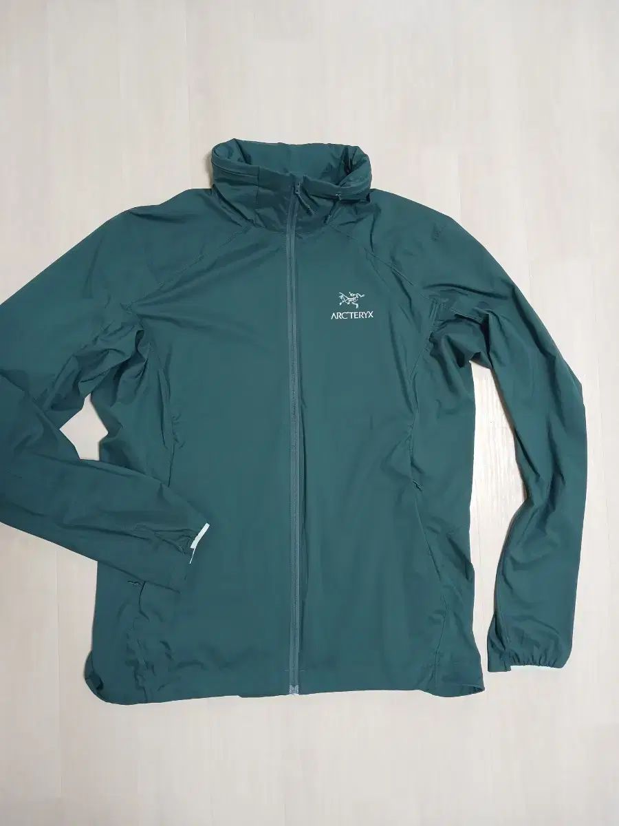 ARC'TERYX アークテリクス レディース ノディン 軽量ウィンドブレーカー (L) 状態良し