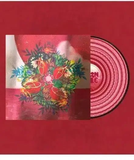 ソンアップル( THORNAPPLE ） ソウル病 LP