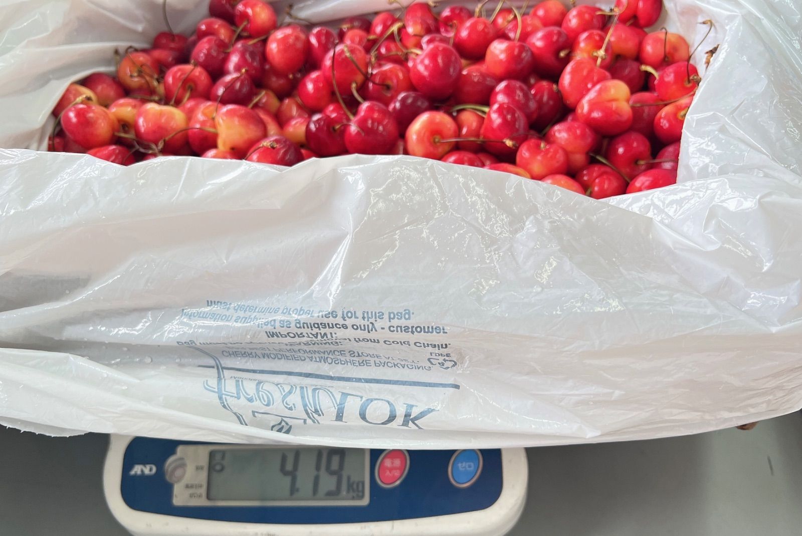 高糖度レーニアチェリー 4kg ご家庭用 - メルカリ