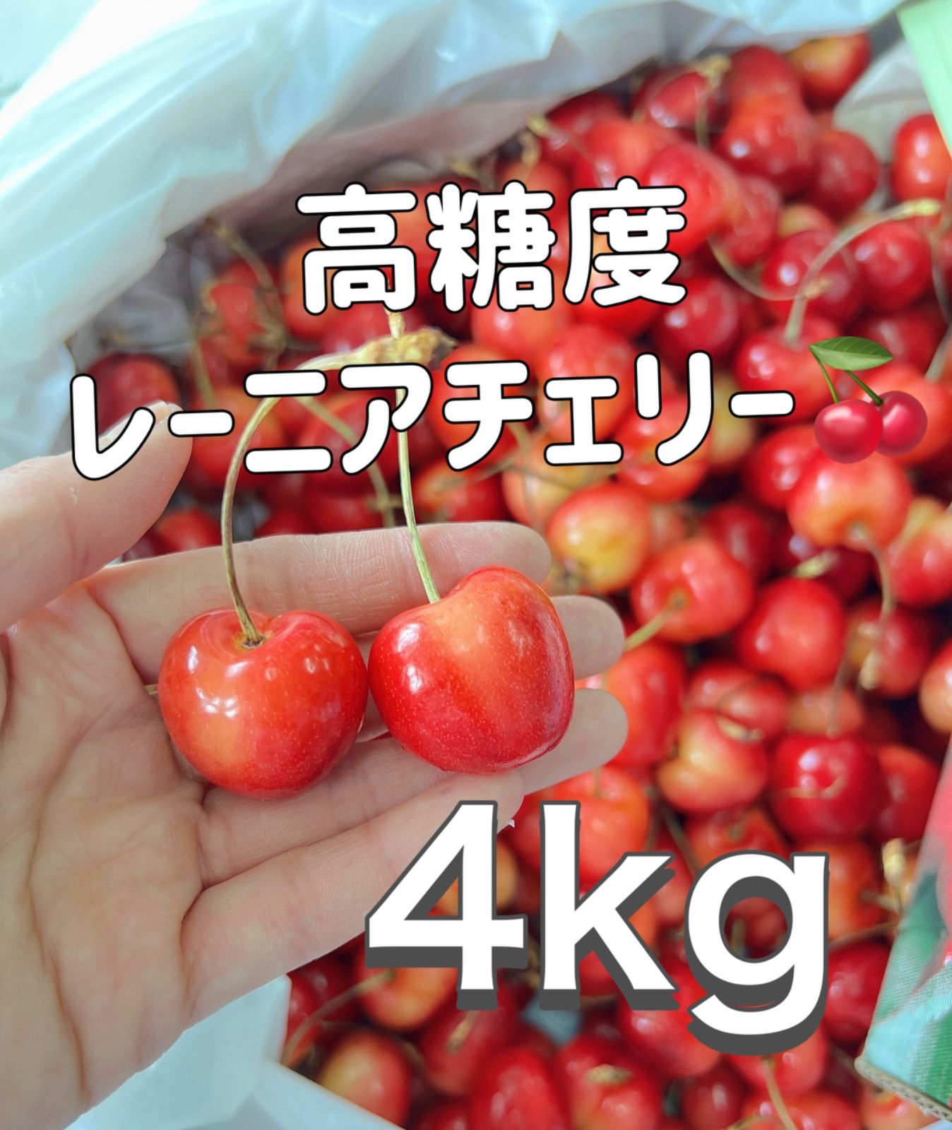 高糖度レーニアチェリー 4kg ご家庭用 - メルカリ