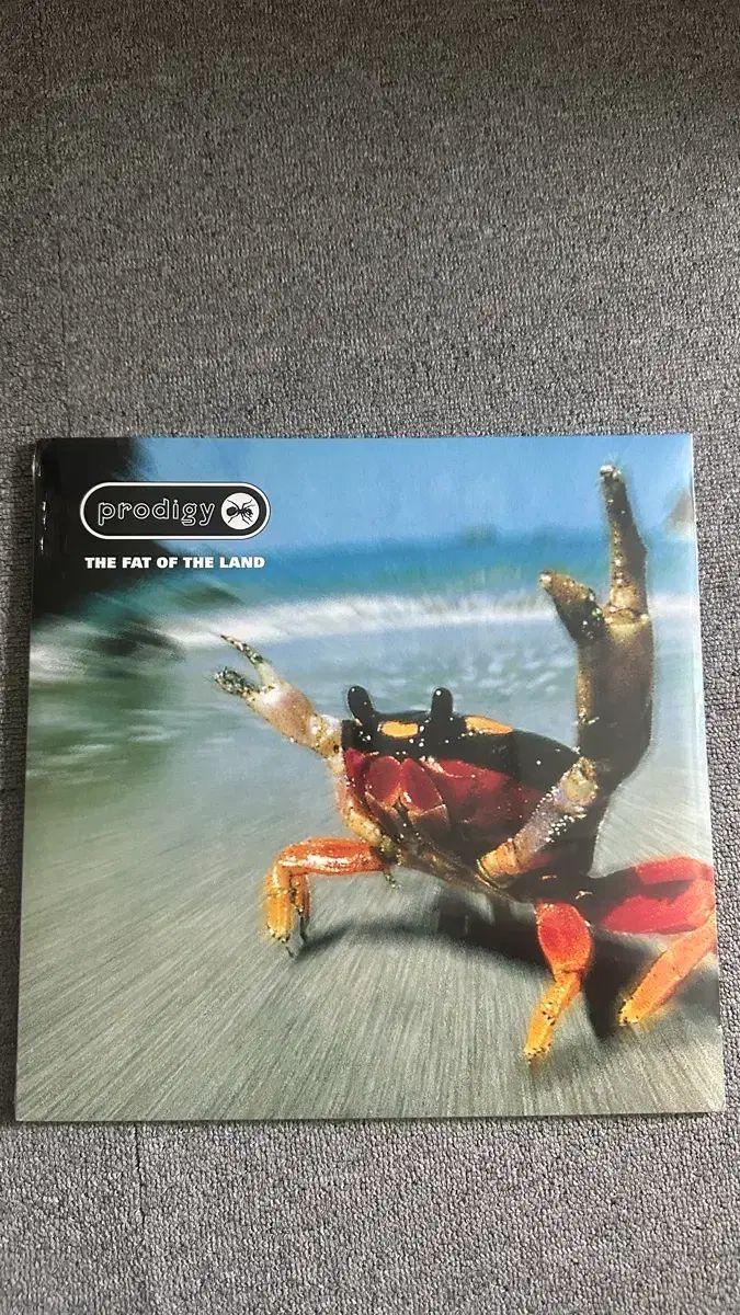 The Prodigy ー Fat of the Land LP - メルカリ