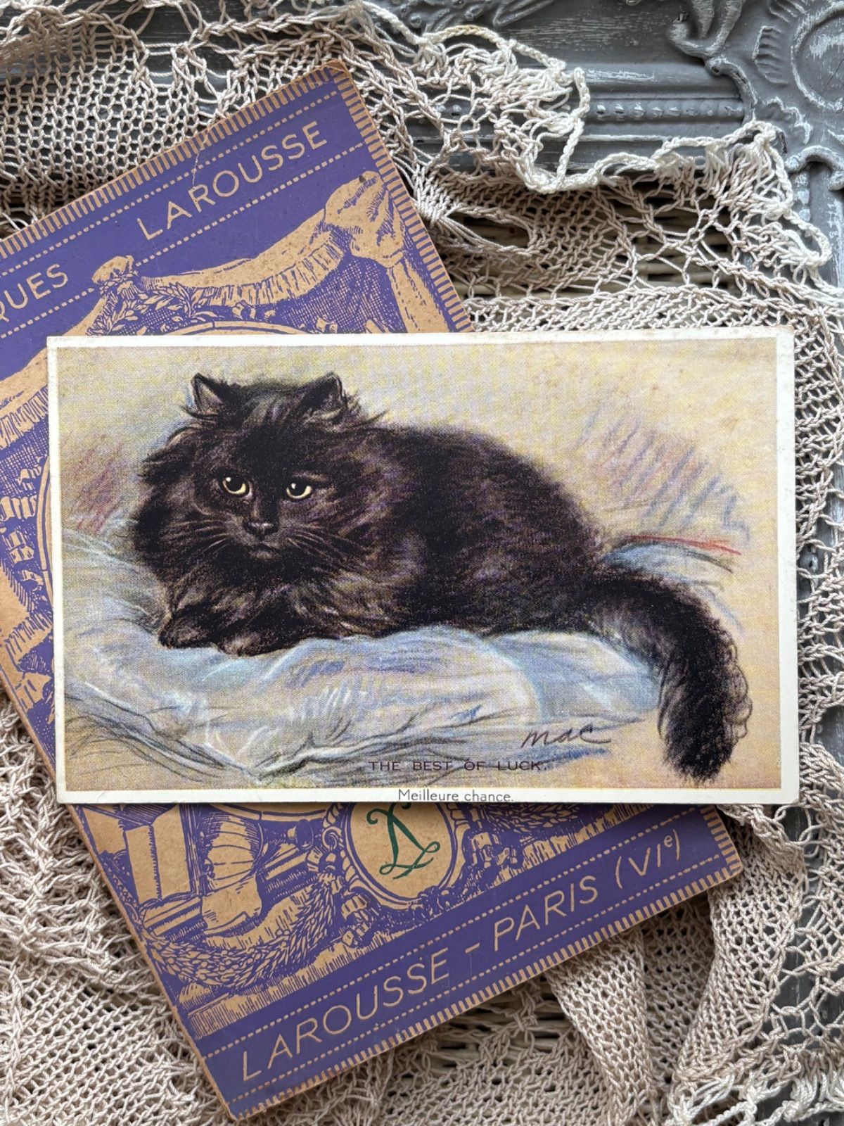 アンティーク　フランス　黒猫 ヴィンテージポストカード The best of luck 猫 黒猫 chat noir