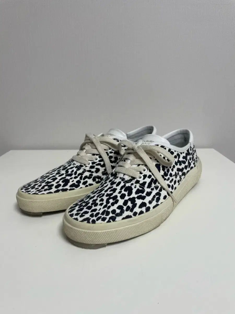 Saint Laurent サンローラン ベイビーキャット スニーカー 42