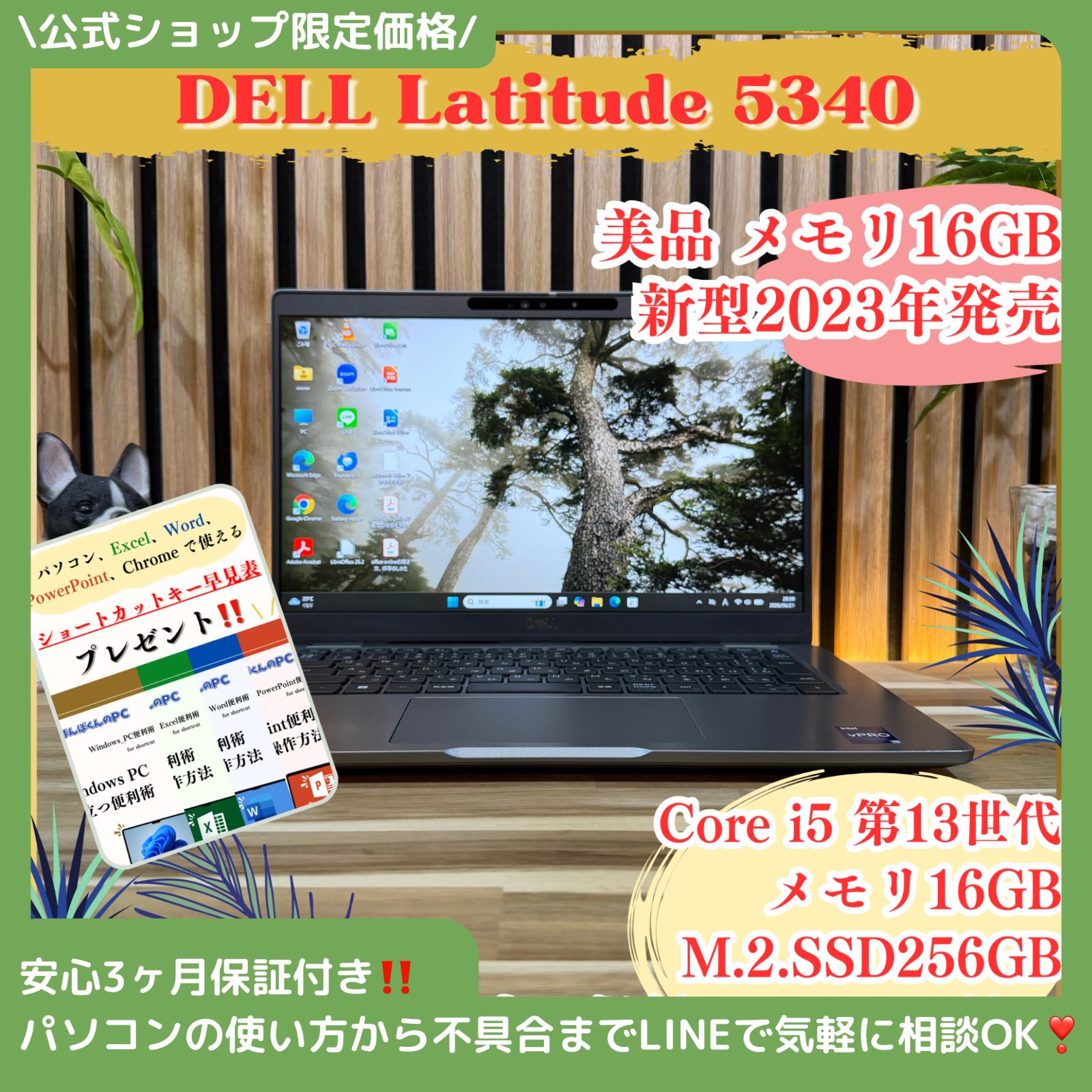 \ 公式ショップ限定価格❣️/ 美品《新型2023年発売》DELL Latitude 5340 メモリ16GB SSD256GB 第13世代 ノートパソコン 安心サポート＆3ヶ月保証付き
