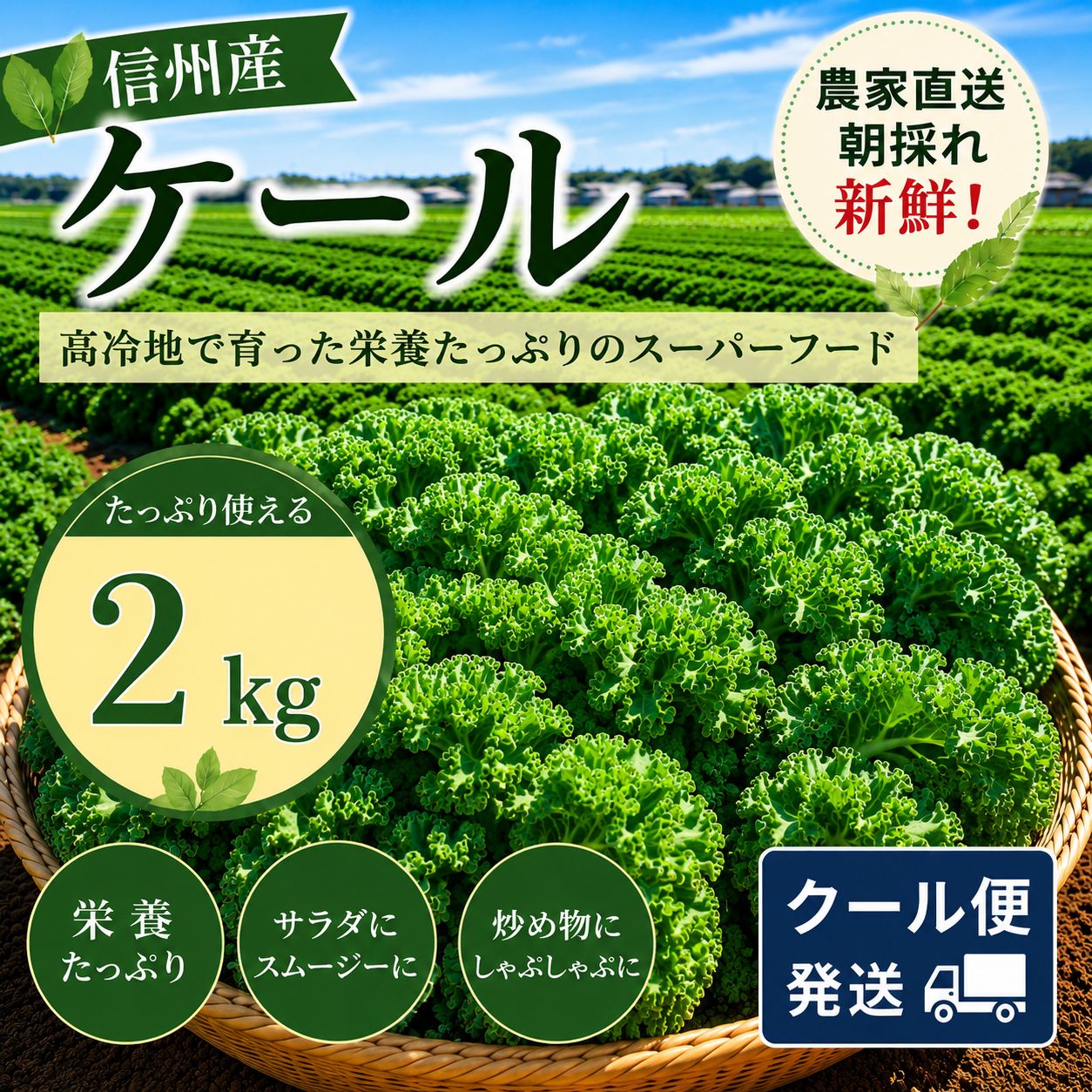 朝採れ直送！信州産サラダケール2.5kg - メルカリ