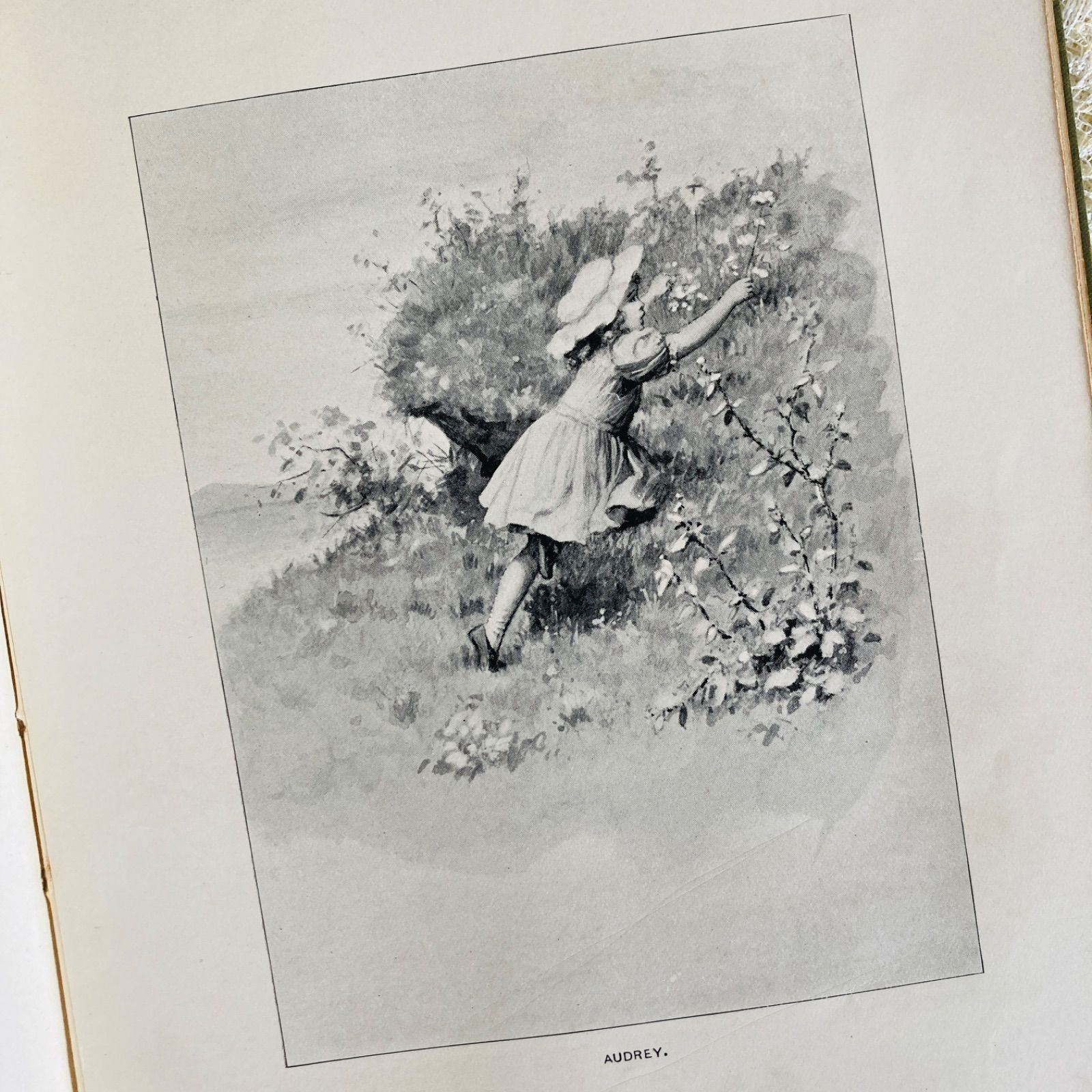 Ida Waugh 挿絵のアンティークブック Twenty Little Maidens 1893年