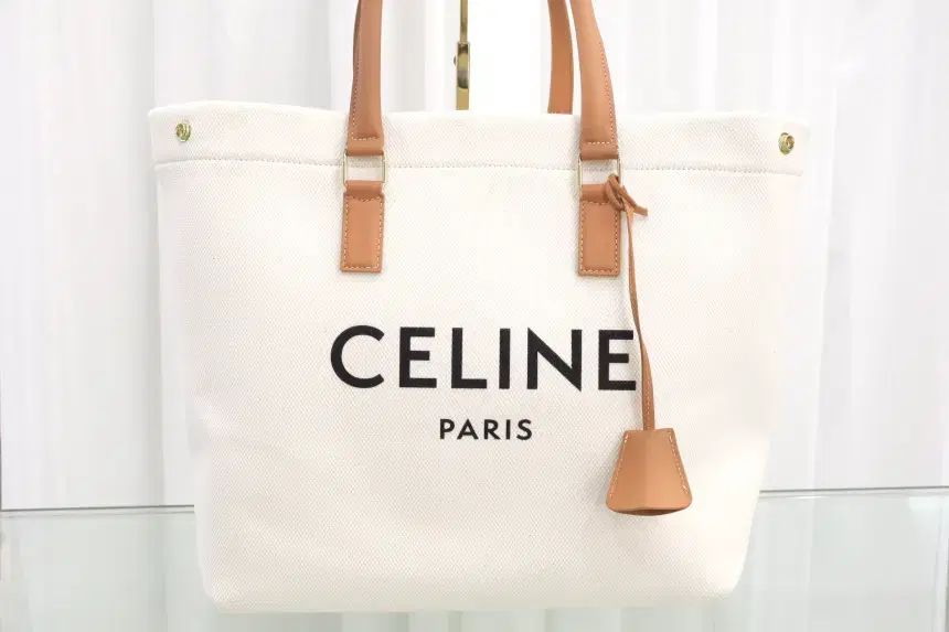 Celine セリーヌ ホライゾン カンバス カバストートバッグ 192162BNZ02NT