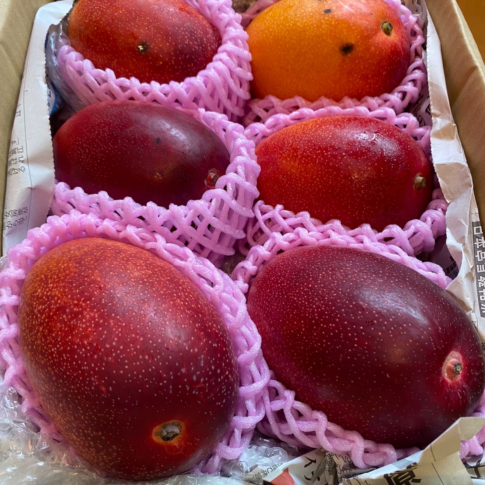 宮崎産【訳あり】マンゴー 6玉 3.2kg 樹上完熟 - メルカリ