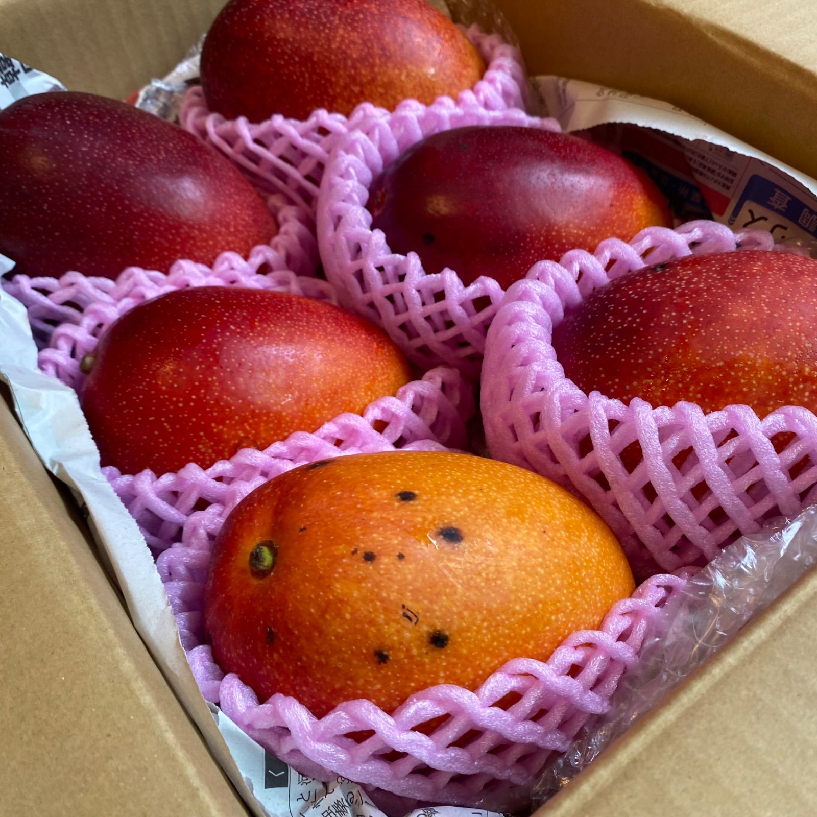 宮崎産【訳あり】マンゴー 6玉 3.2kg 樹上完熟 - メルカリ