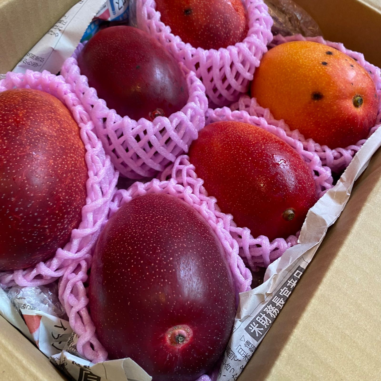 宮崎産【訳あり】マンゴー 6玉 3.2kg 樹上完熟 - メルカリ