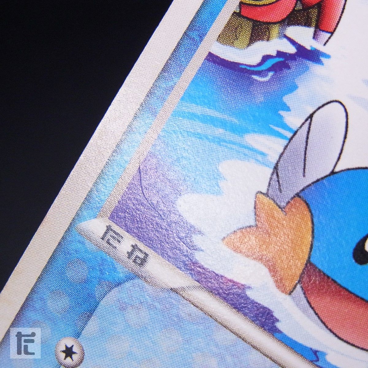 PROMO ポケパークのミズゴロウ 048/PCG-P / TA24971 - メルカリ