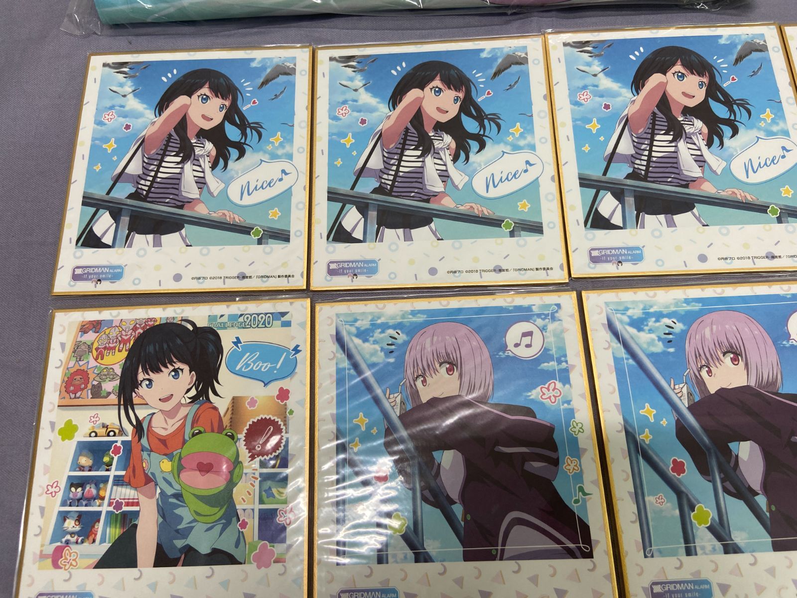 カメ】 SSSS.GRIDMAN WEBくじ A賞 ツーショットタペストリー アクスタ 