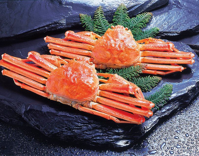 【令和8年7月31日までの期間限定商品】小樽海洋水産 北海道産 おおずわいがに 2尾 OKS-282 おおずわいがに500g×2