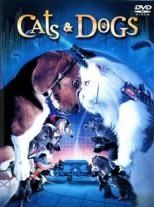 【中古】 キャッツ＆ドッグス 特別版 [レンタル落ち] [DVD]