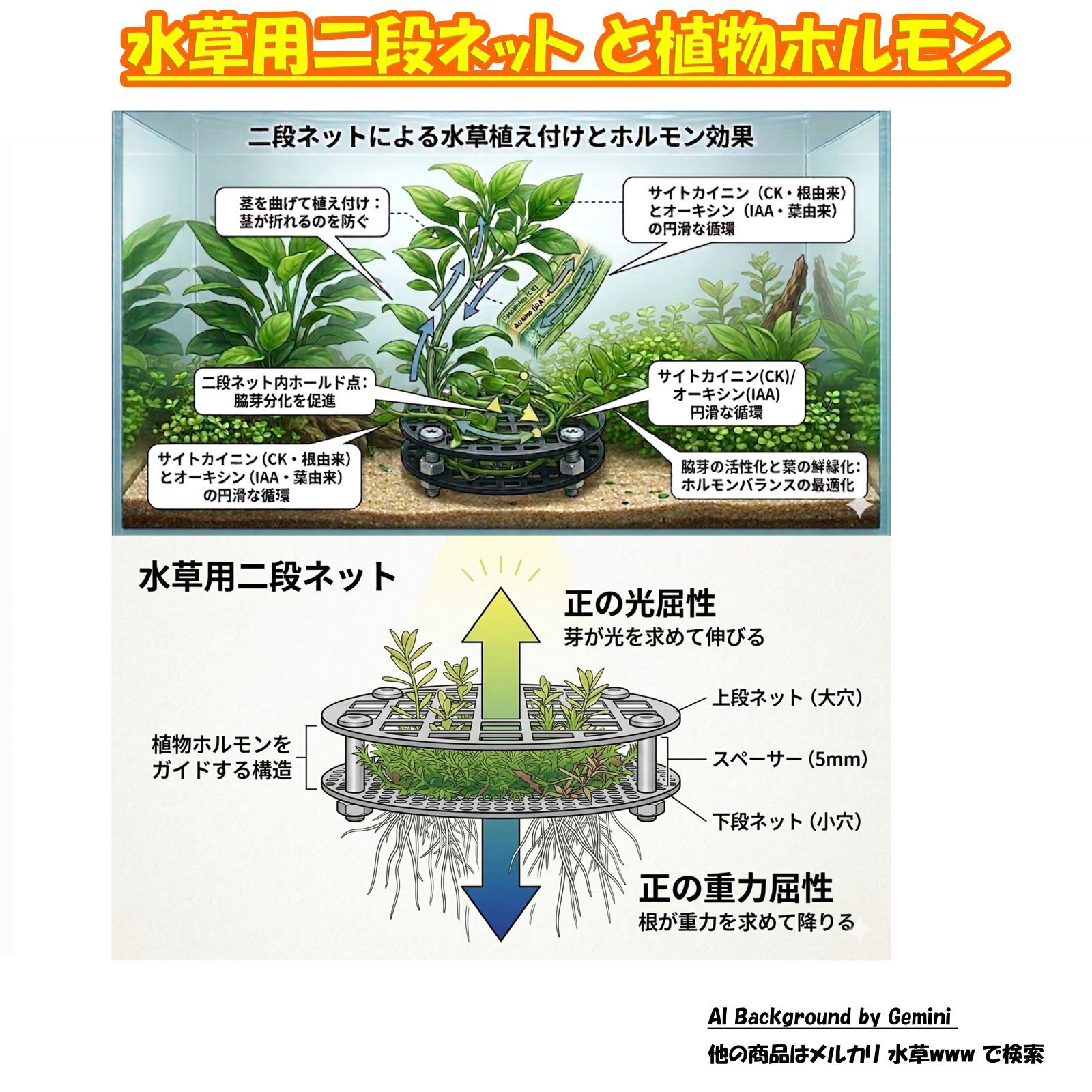 誰でも簡単レイアウト！水草用二段ネット TypeC【匿名配送 ポスト投函