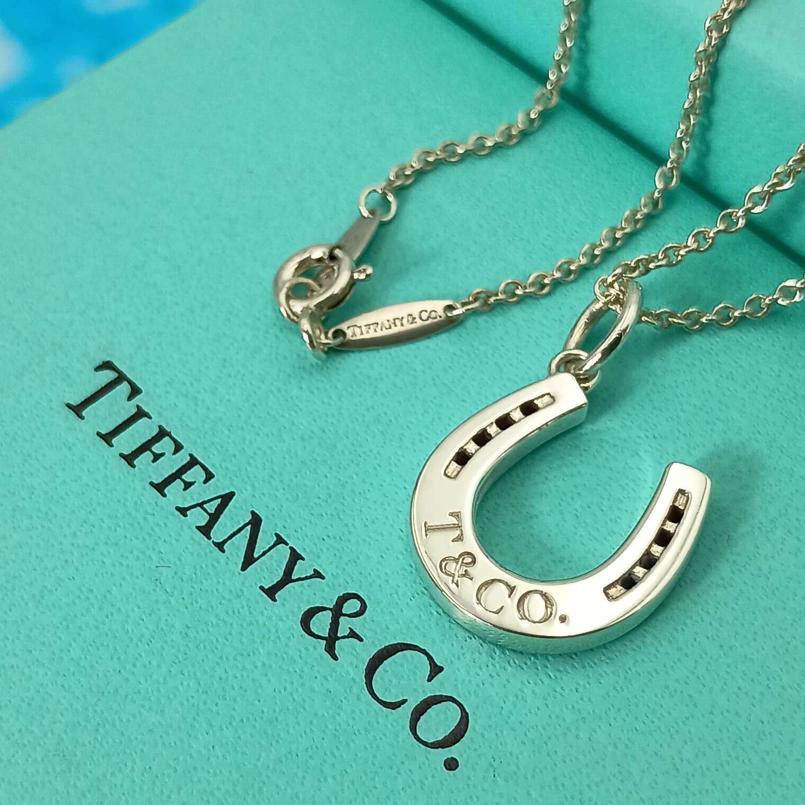 TIFFANY&Co.　 ティファニー　ホースシュー 馬蹄　ネックレス　レディース　メンズ　シルバー925 AG925 箱　保存袋　重量50.7g
