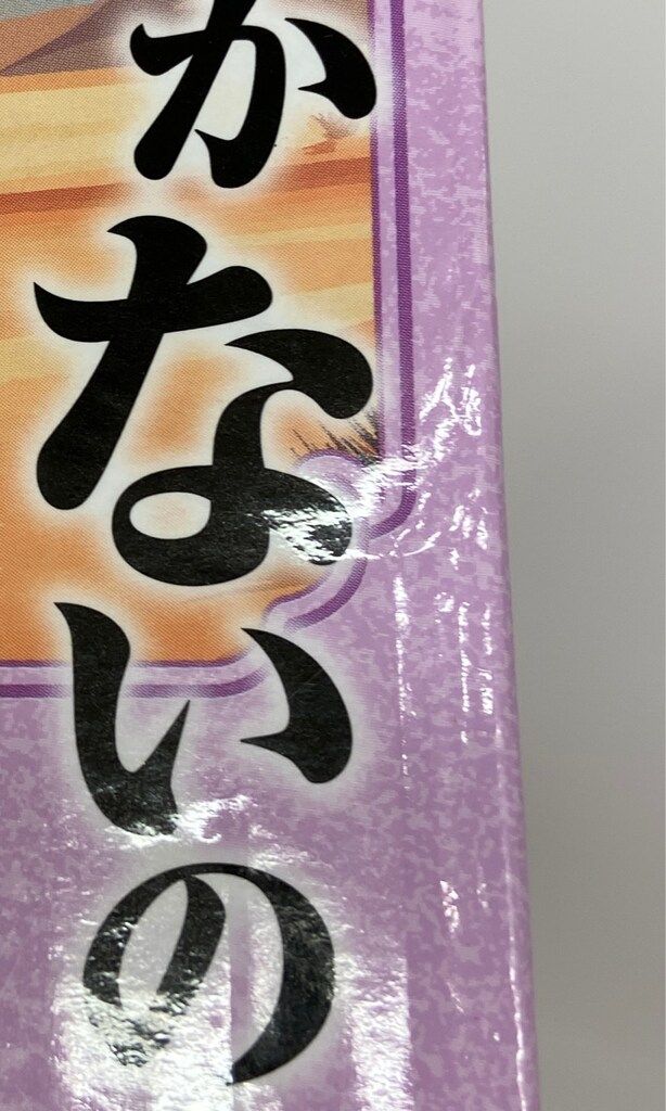 BANDAI SPIRITS 一番くじ ドラゴンボール EX 孫悟空修業編 B賞 ブルマ