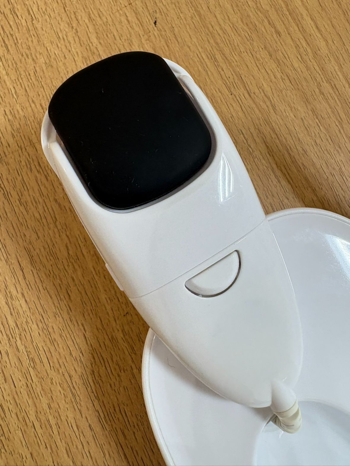 モイスティーヌ 美容器 美顔器 ⁄ モイスティーヌⅣ - モイスティーヌ