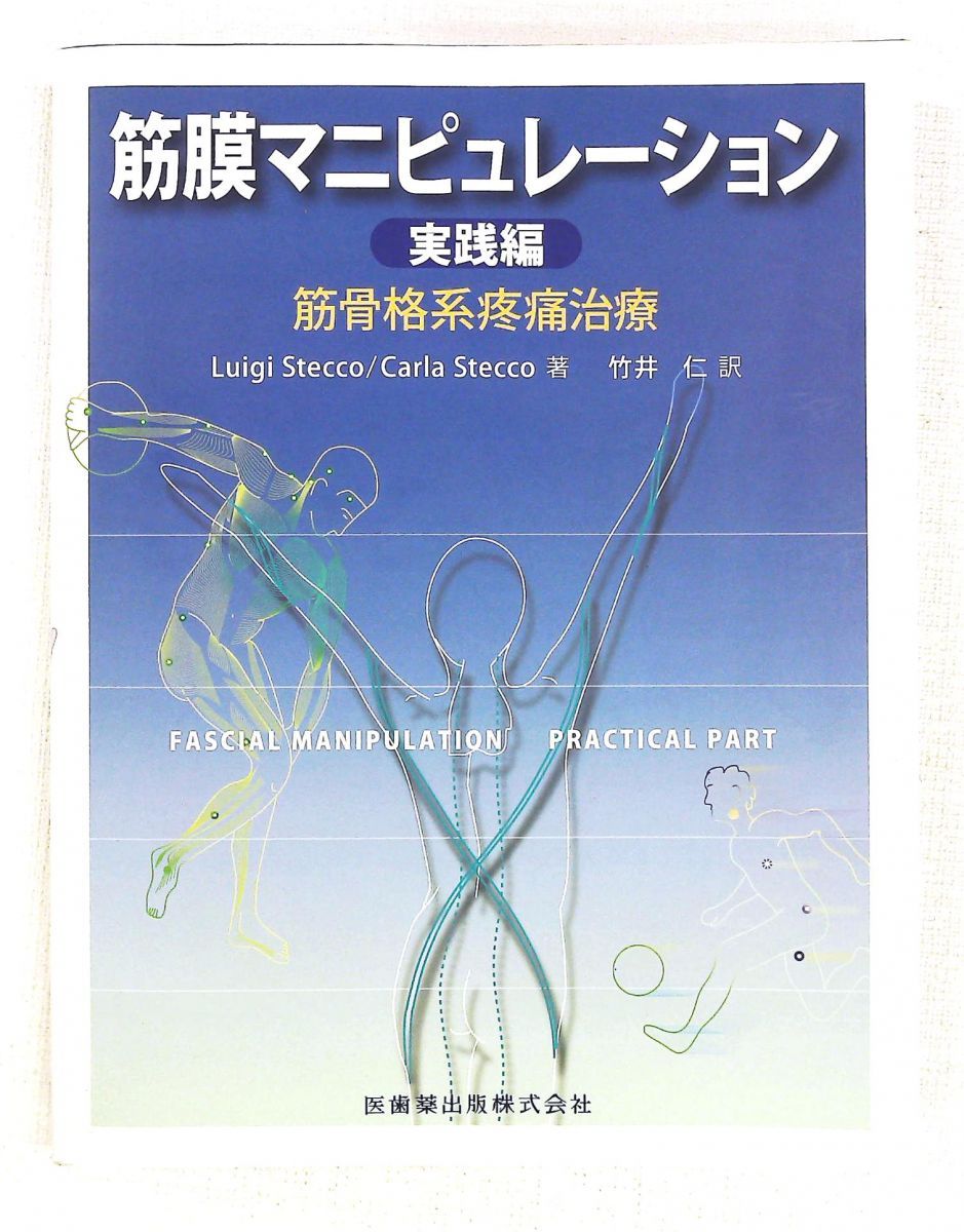 筋膜マニピュレーション 実践編 筋骨格系疼痛治療 Luigi Stecco,Carla