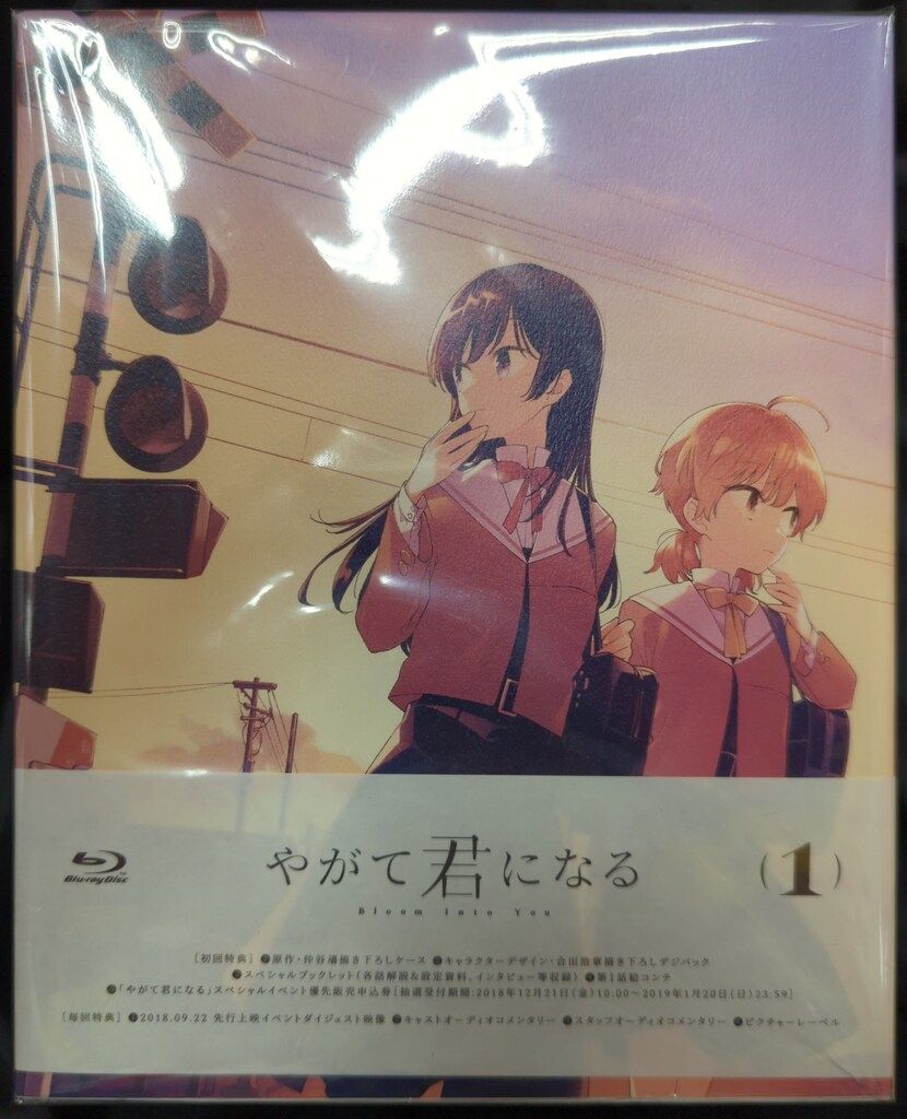アニメBlu-ray 初回）やがて君になる 全4巻 セット - メルカリ
