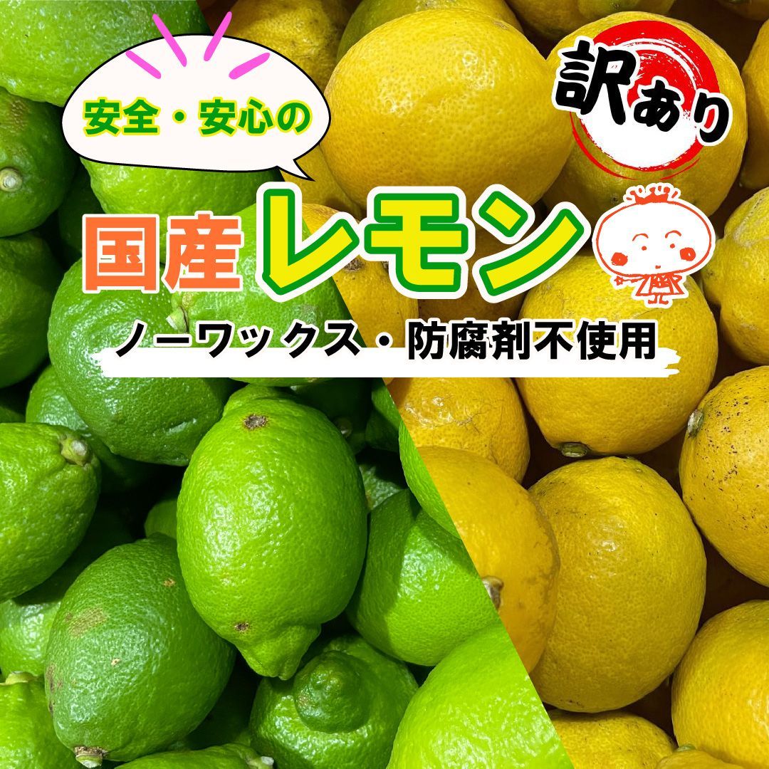 愛媛県産 グリーンレモン 10kg 新品 - メルカリ