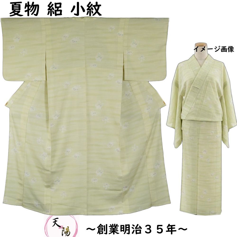 夏物 小紋 絽 霞ぼかしに春秋模様 夏 着物 夏物 Sサイズ 【中古 小紋 
