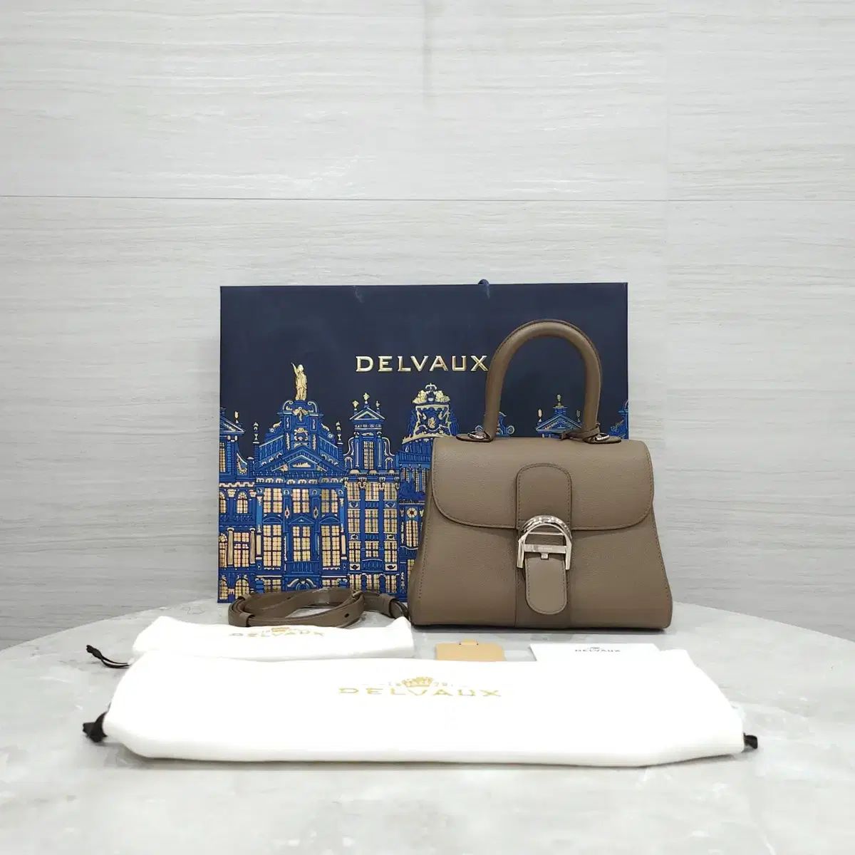 Delvaux (デルヴォー) Brioche PM Rodeo Calfskin Taupe AA0569