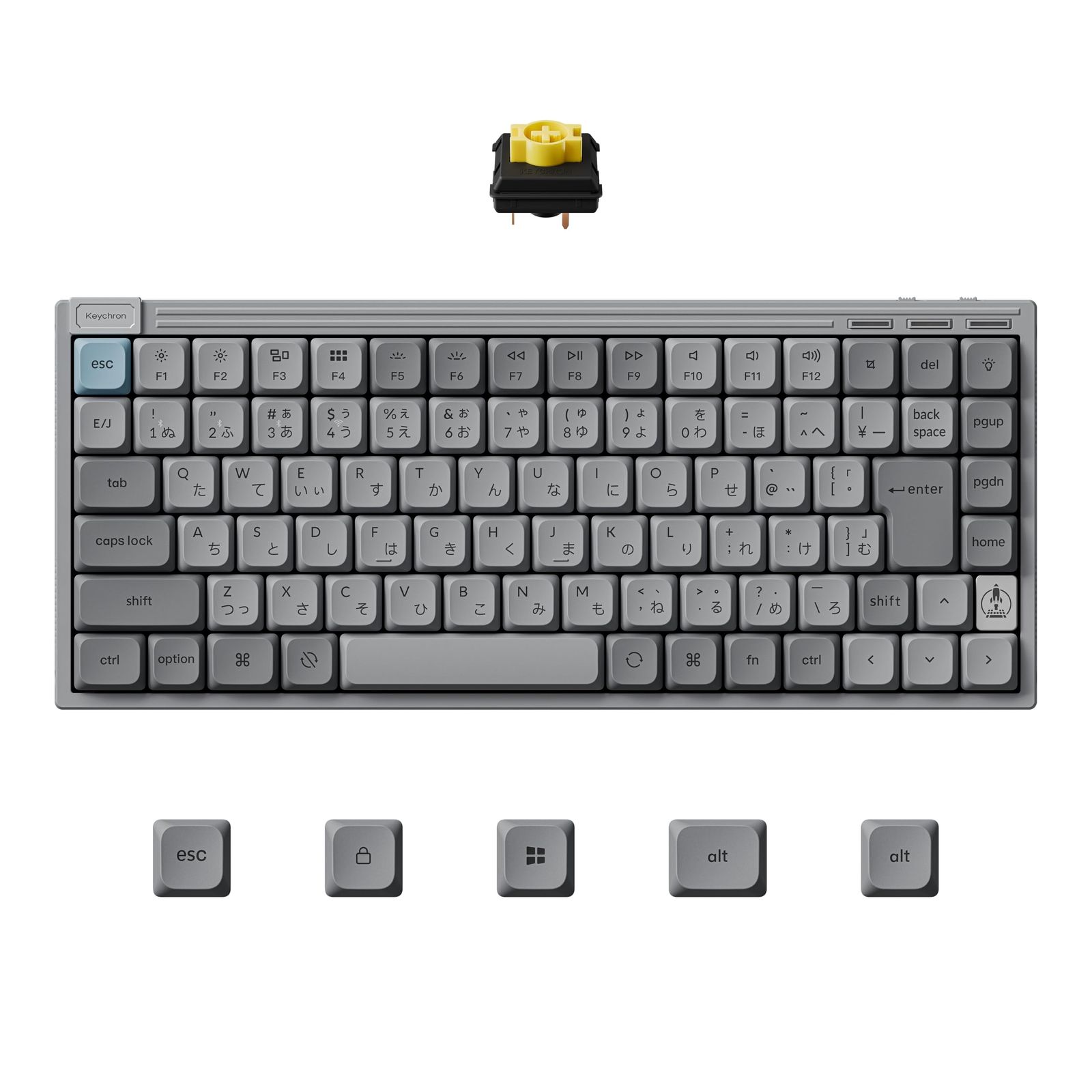 【国内正規品】Keychron J9 75%ワイヤレスキーボード RGB バックレイト Launcher対応 ホットスワップ対応 2.4GHz/Bluetooth/有線対応/全キーリマップ可能 Keychron Pom Switch macOS/Windows