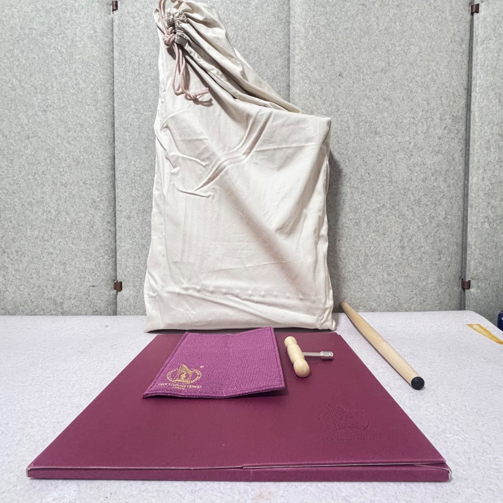 □【極美品】ヘルマンハープ 25弦 Hermann Veeh 弦楽器 Mタイプ - メルカリ