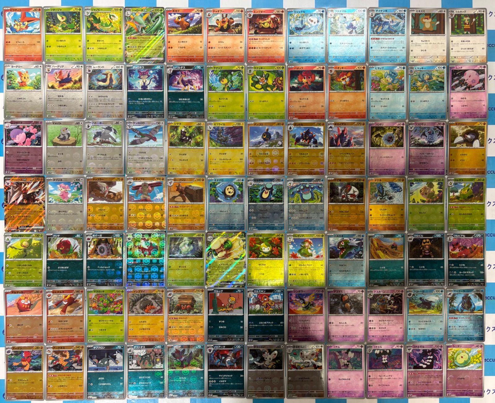 ポケモンカードBW(ブラックボルト/ホワイトフレア) 図鑑/モンスター