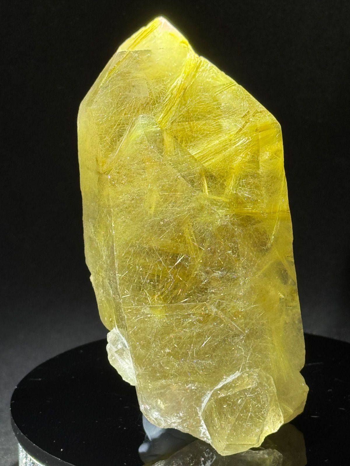 極美品 大粒ゴールドルチルクォーツ 原石 発晶クラスター