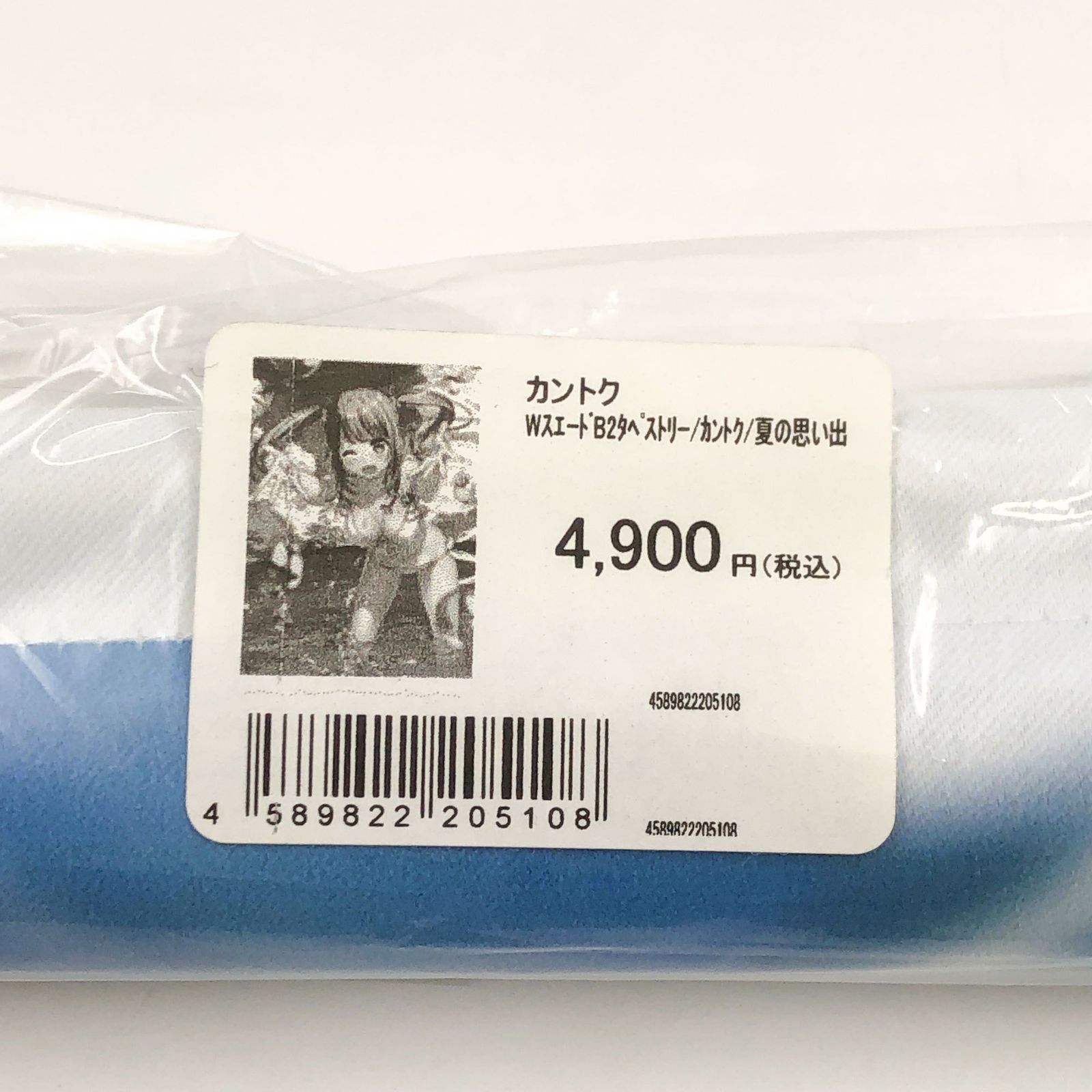 ♪) B2タペストリー 夏の思い出 くるみ カントク Wスエード製 えつぷら 
