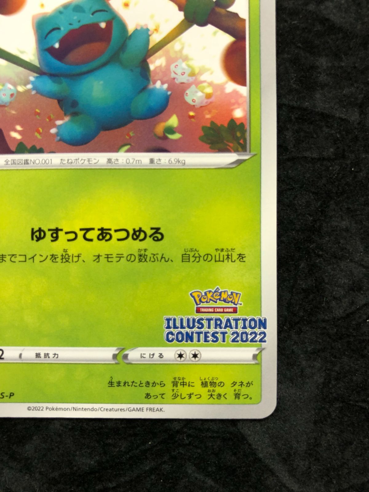 ポケモンカード フシギダネ PROMO 337/S-P 「ポケモンカードゲーム