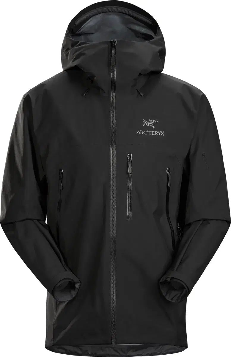 L ARC'TERYX アークテリクス ベータ SV