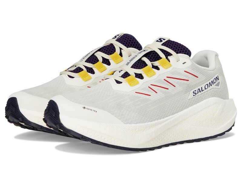 サロモン レディース シューズ スニーカー Salomon Aero Blaze Vanilla IceAst