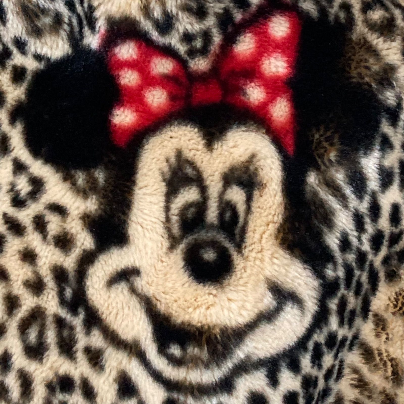 □極美品□ディズニーパリ開業記念品□Appearance PARIS × Disney 