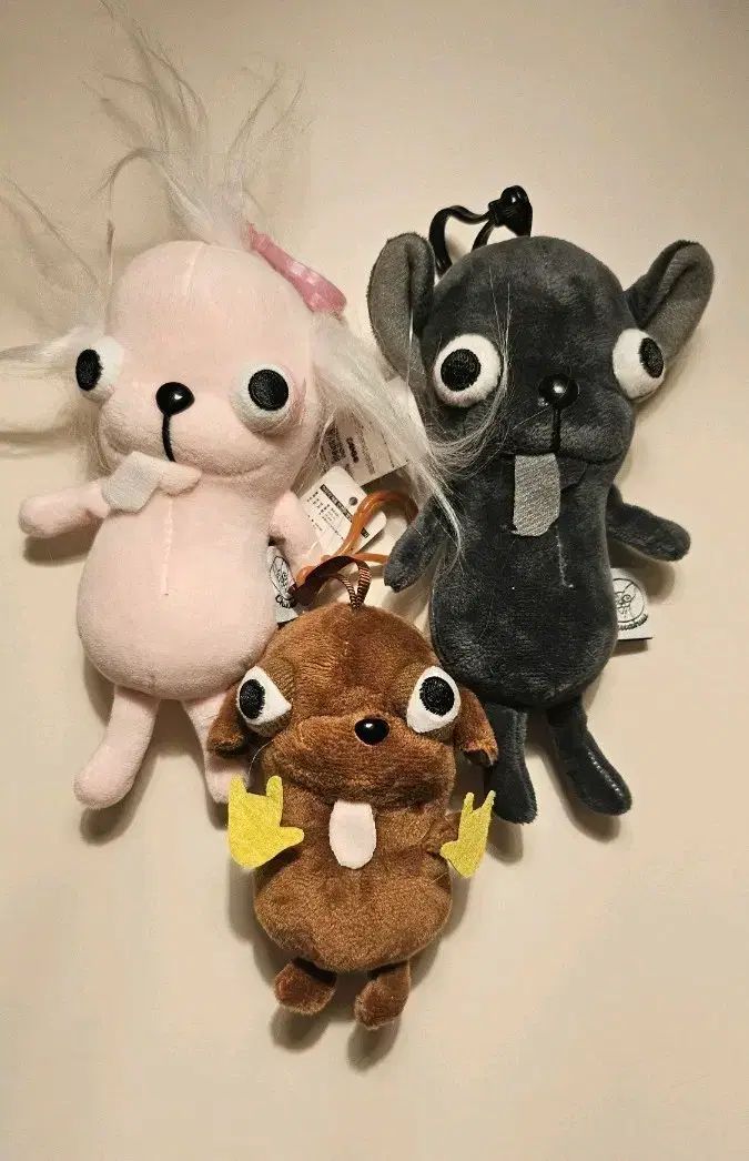 チワワ ぬいぐるみ キーホルダー 3種 セット - メルカリ