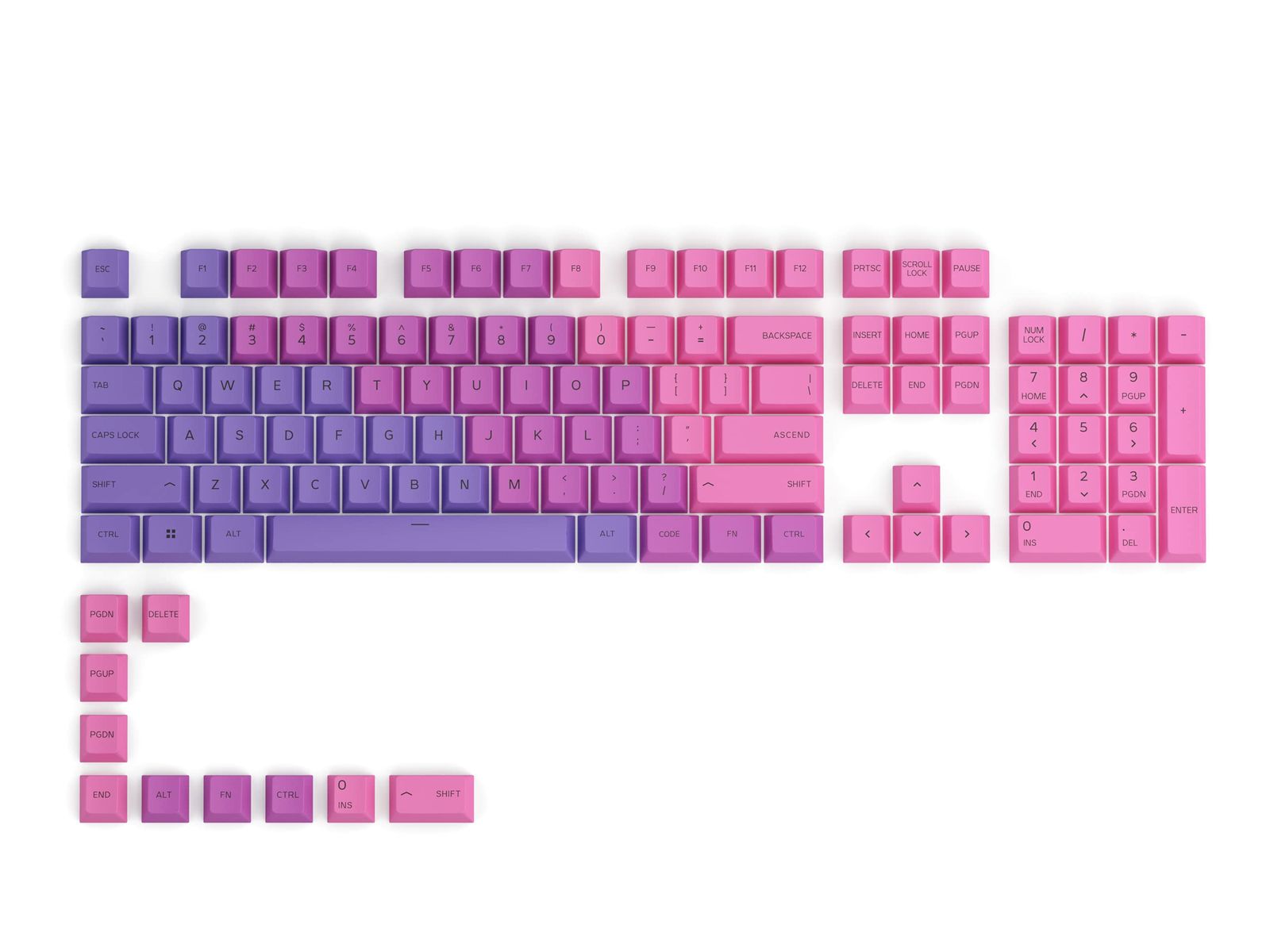 新品　Main