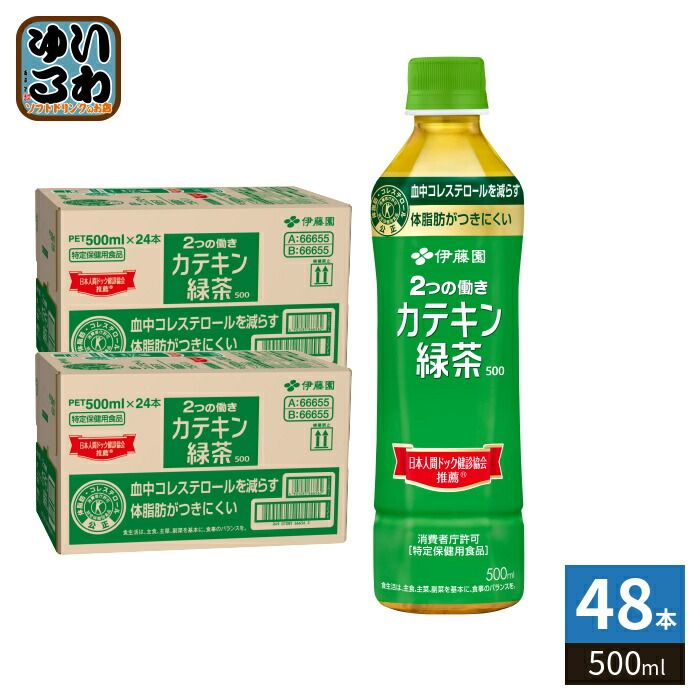 伊藤園 2つの働き カテキン緑茶500 500ml ペットボトル 48本 (24本入×2 まとめ買い) お茶 特定保険用食品 体脂肪 コレステロール