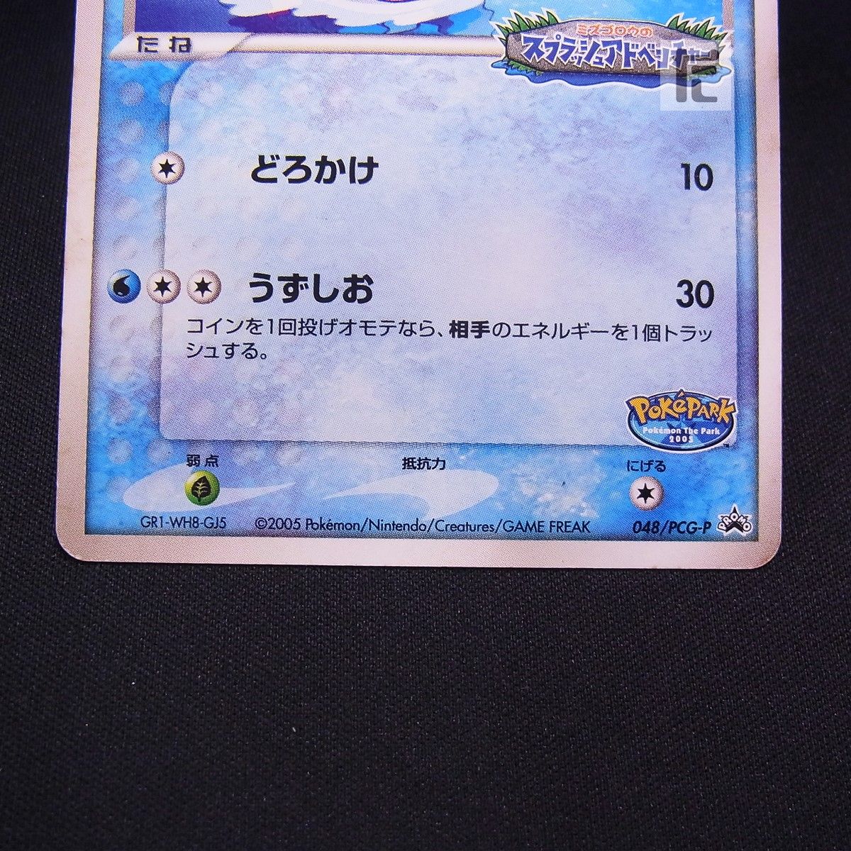 PROMO ポケパークのミズゴロウ 048/PCG-P / TA24971 - メルカリ