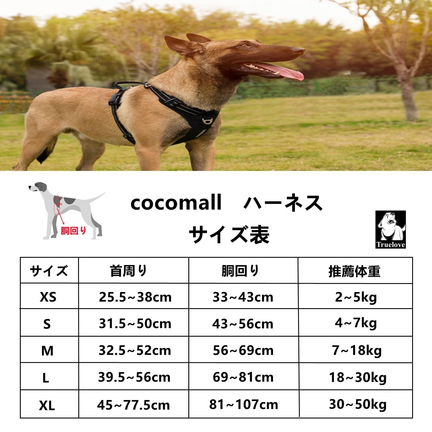 新品 cocomall 2023最新 犬用ハーネス 犬用胴輪 ドッグ ペット用品 3M反射材料 訓練 ナイロン製 小型犬、中型犬、大型犬に向け 通気性 調節可能 (L オレンジ)