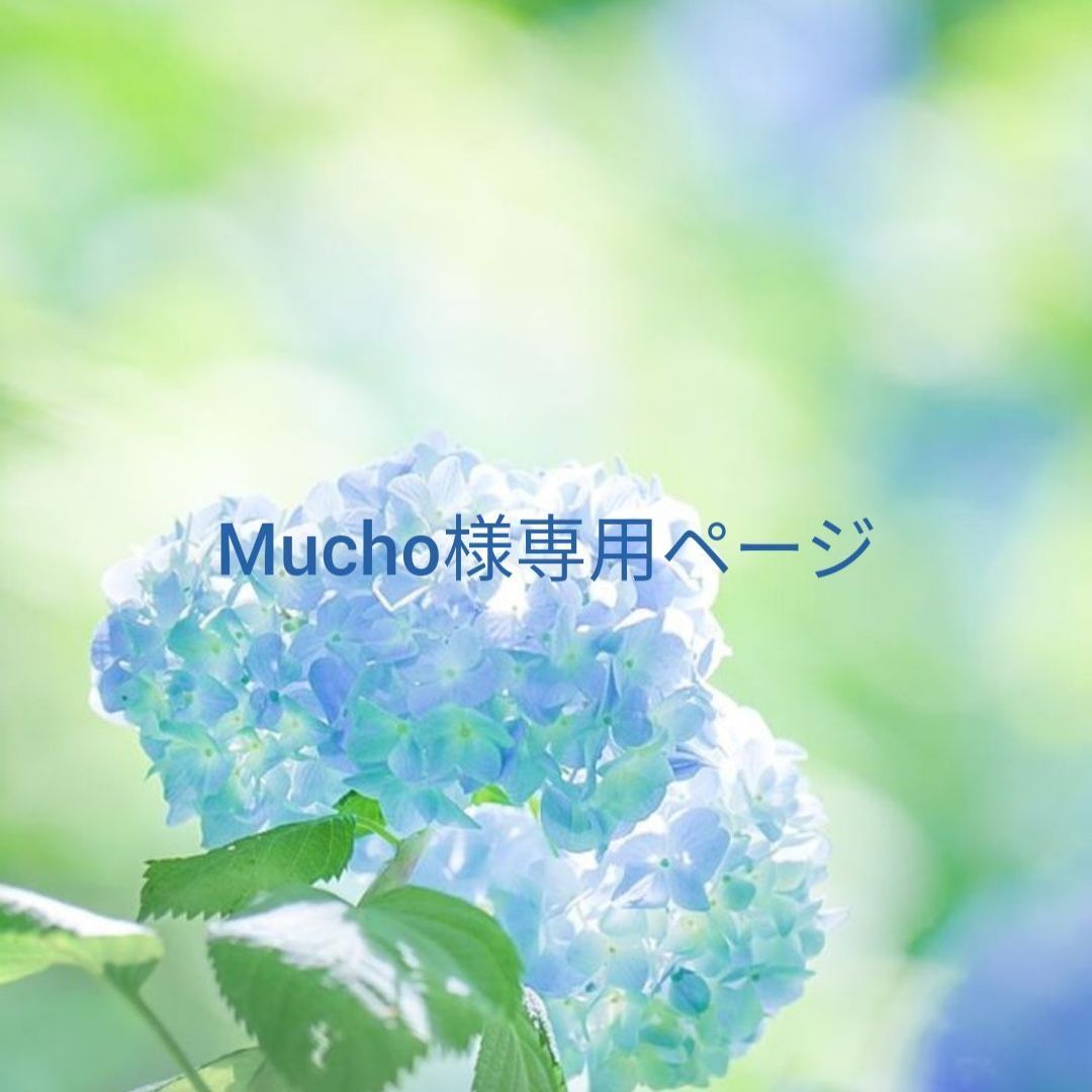 Mucho様専用ページ