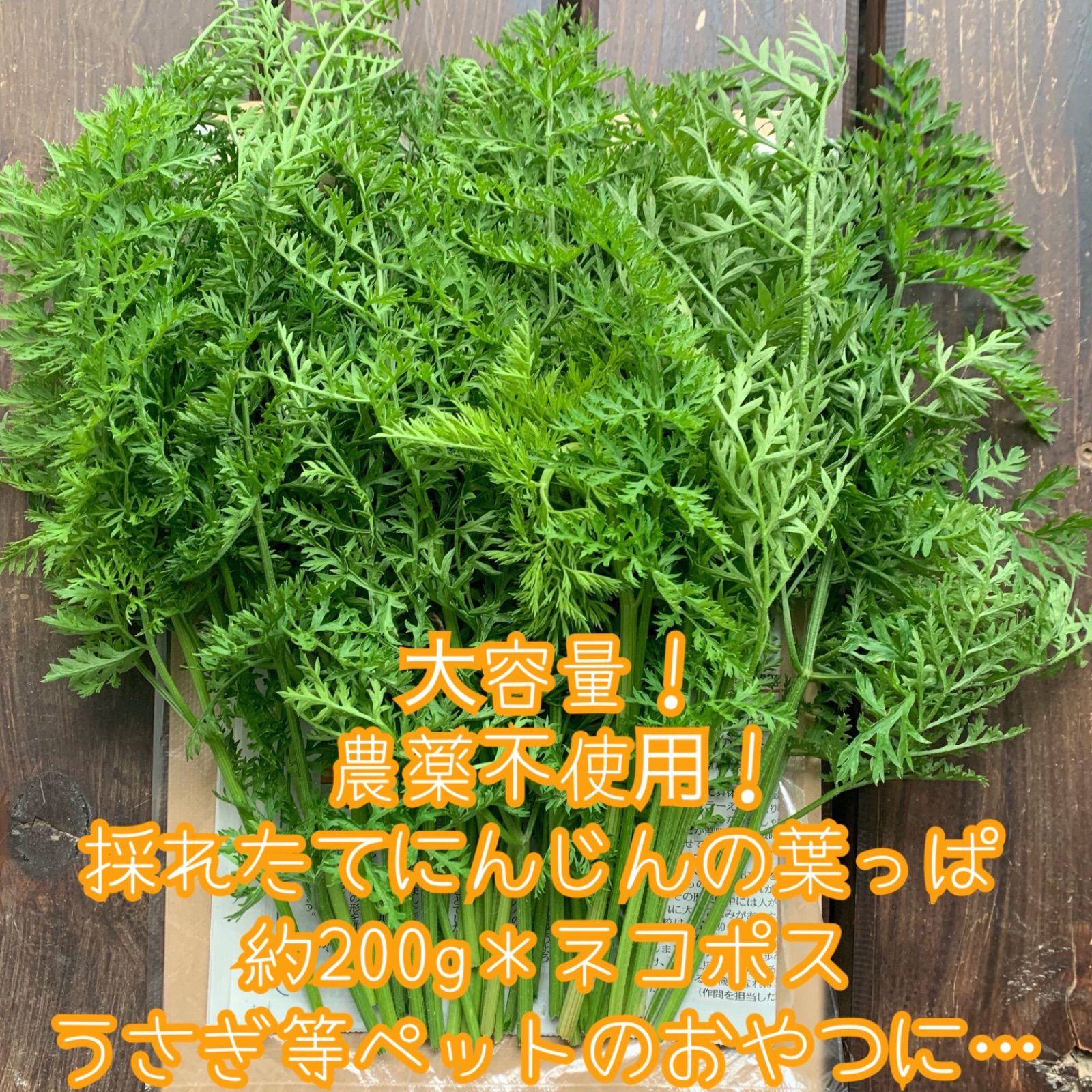 大容量！農薬不使用！採れたてにんじんの葉っぱ＊約200g＊うさぎ等 