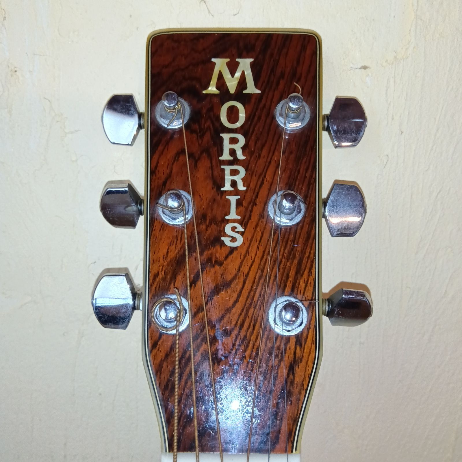 MORRIS W-40 アコースティックギター サンバースト - メルカリ