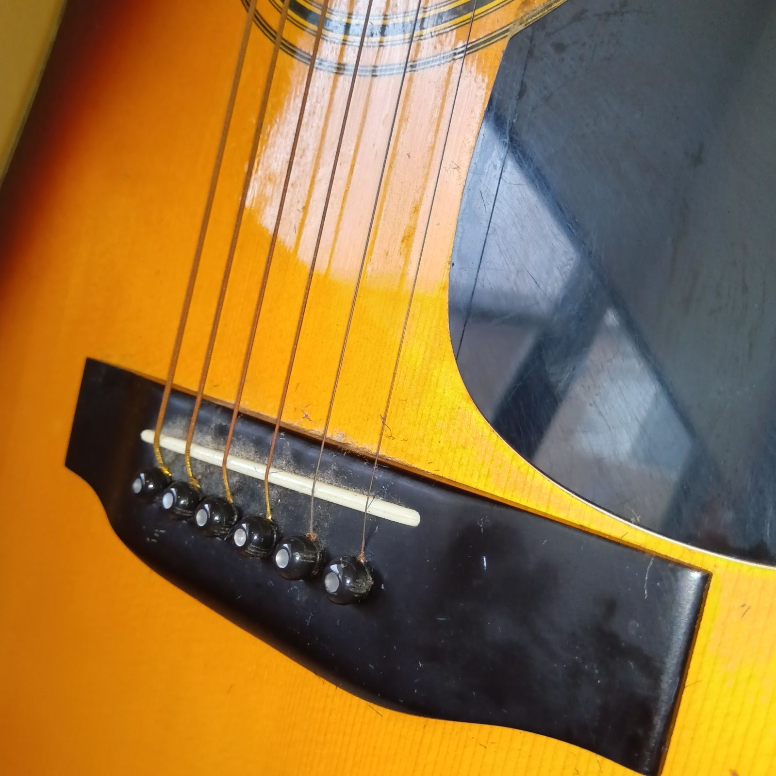 MORRIS W-40 アコースティックギター サンバースト - メルカリ