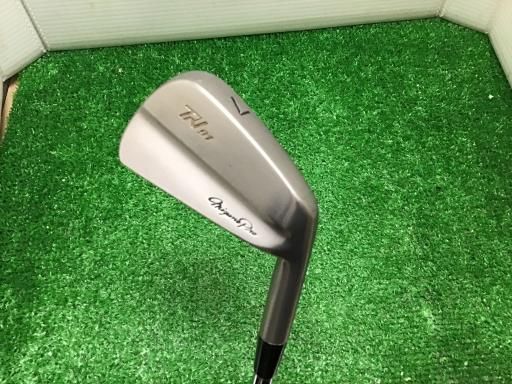 【中古】 ミズノ Mizuno Pro TN-91 10S アイアンセット IR Dynamic Gold (フレックスR) メンズ 男性用 右利き 右用 Dランク ゴルフクラブ
