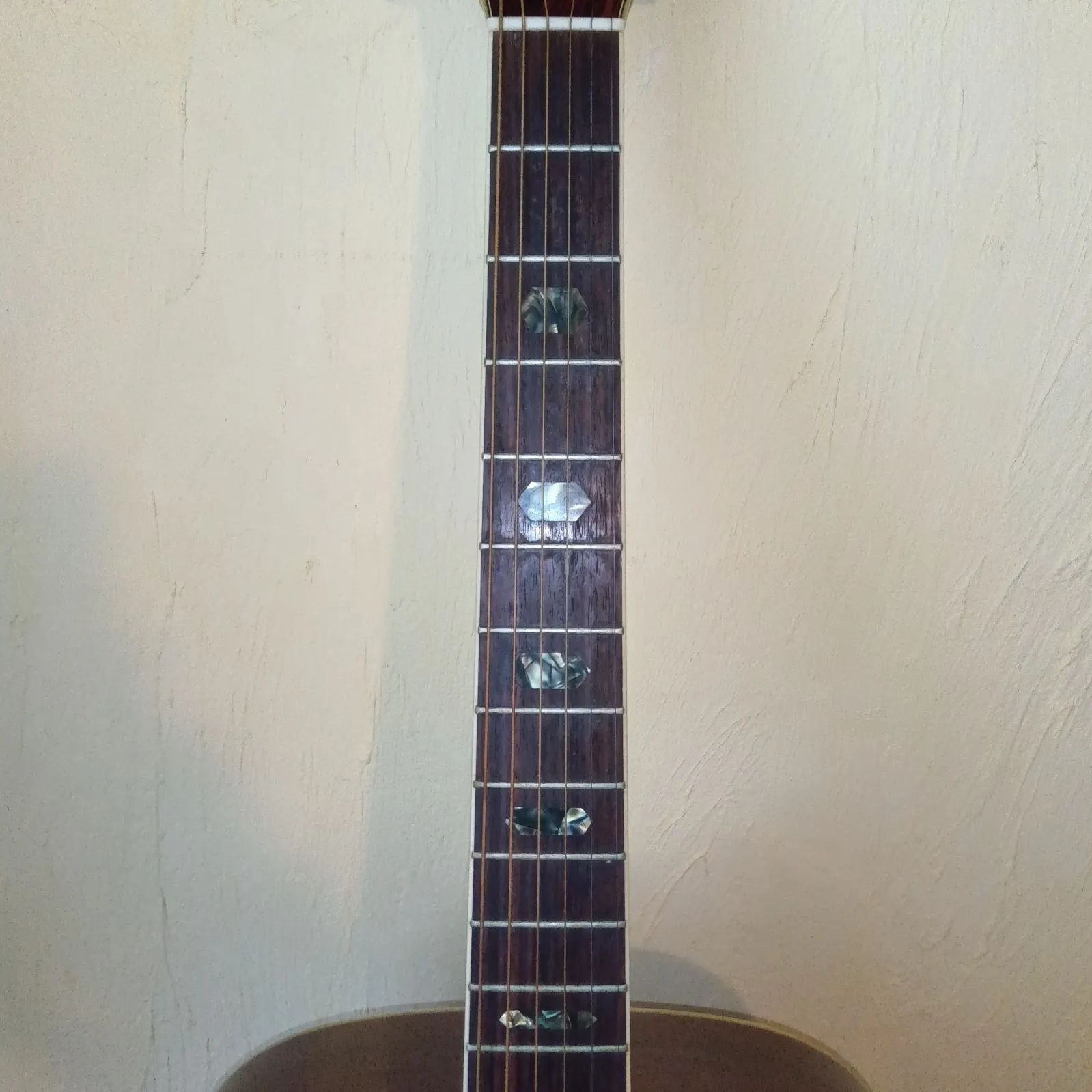 MORRIS W-40 アコースティックギター サンバースト - メルカリ