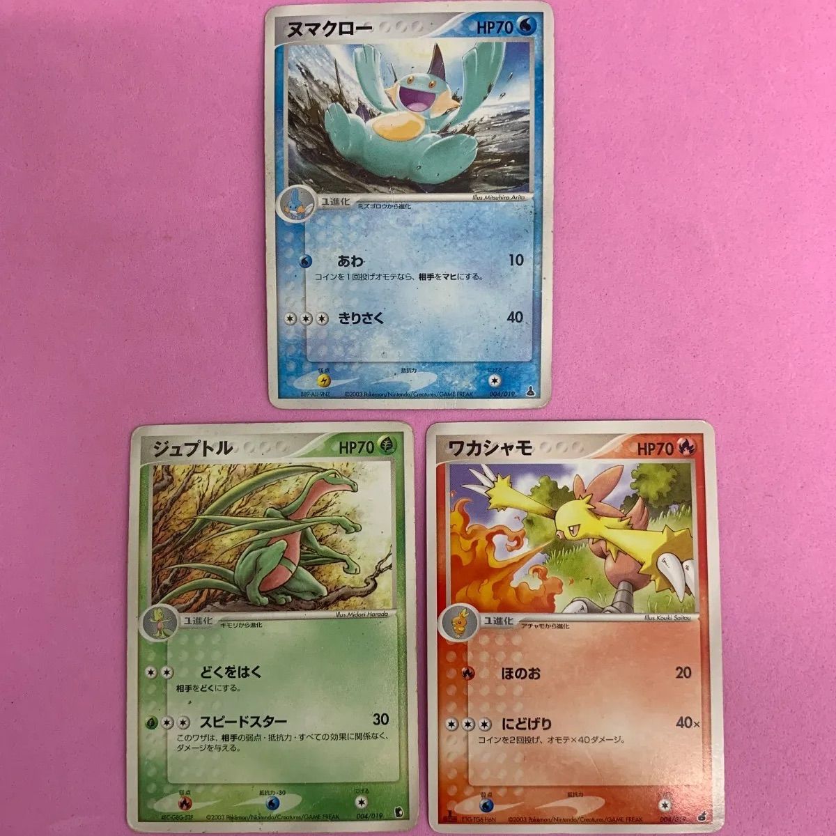 ポケモンカード キズあり ヌマクロー ジュプトル ワカシャモ 各1枚 