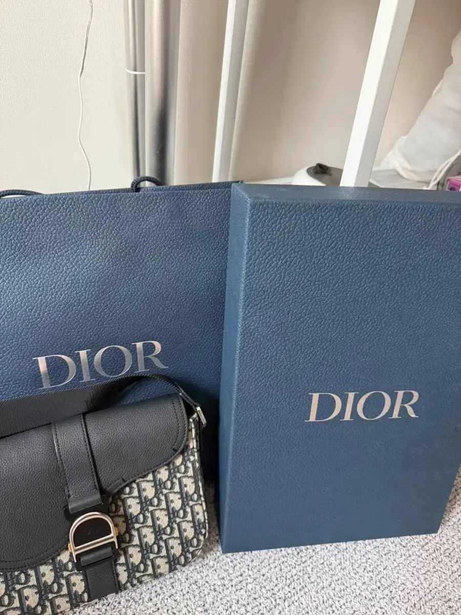 Dior ディオール DIOR × サドル ウエスト kaws SADDLE - Christian